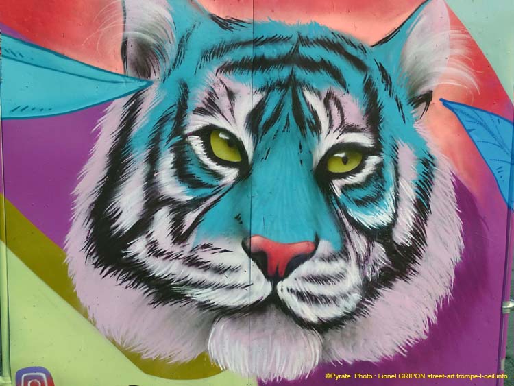 Tigre et lettres