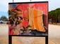 Serviettes de plage