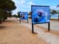 Plantes et oiseaux