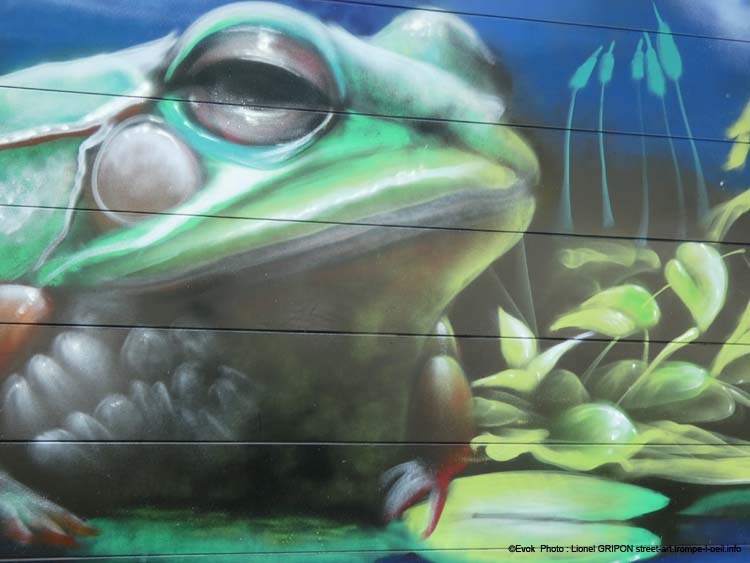 Le crapaud