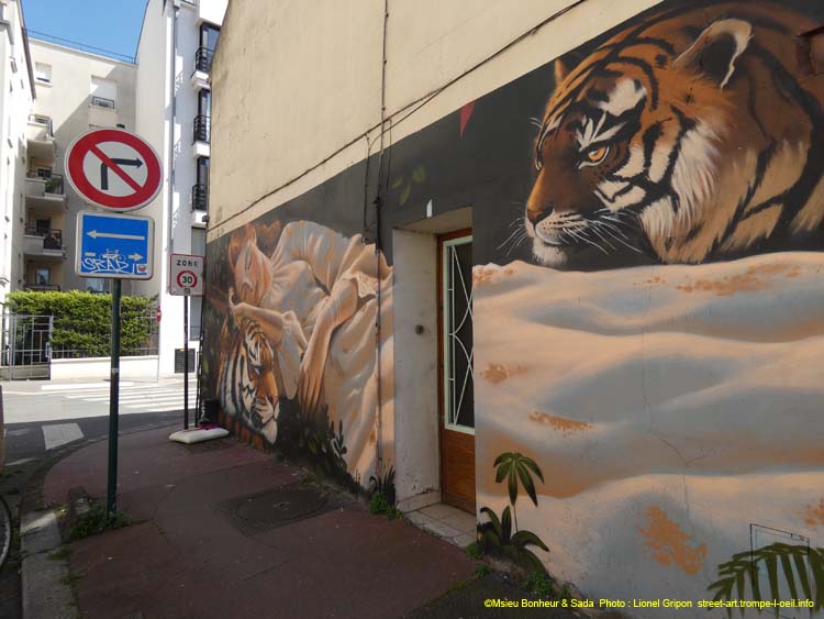 Belle et tigres