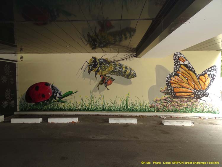 Insectes et biodiversité