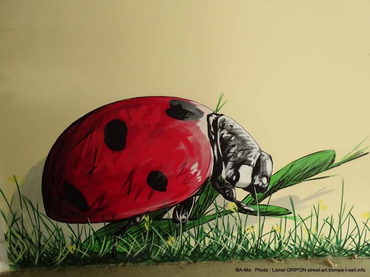 Insectes et biodiversité