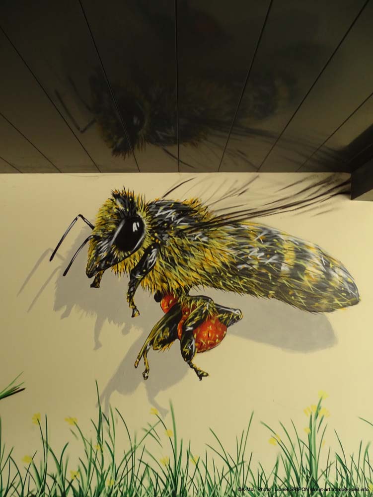 Insectes et biodiversité