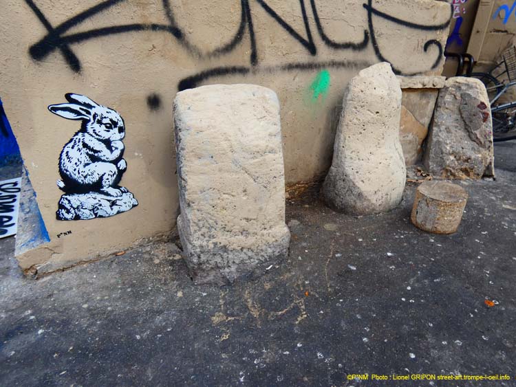 Lapin penseur