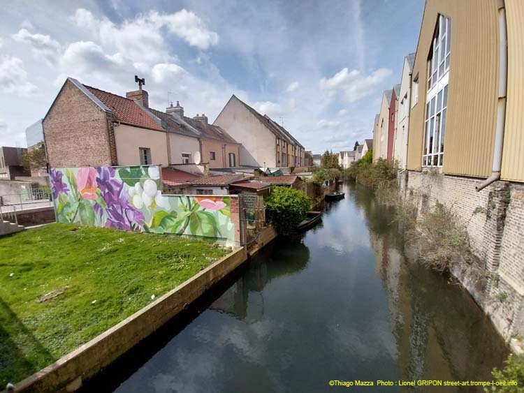 Plantes des Hortillonnages