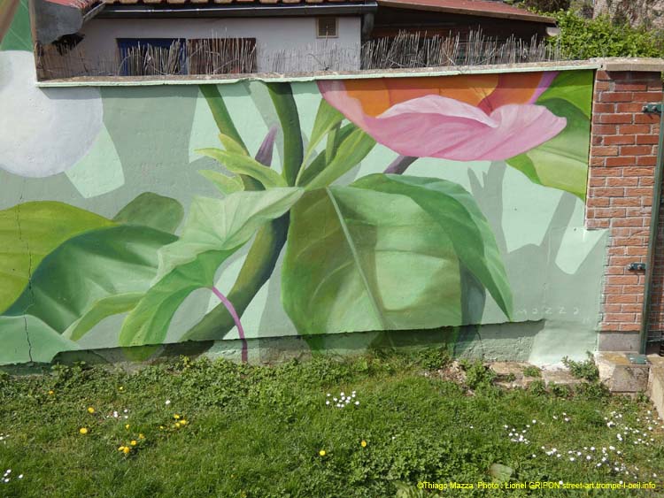 Plantes des Hortillonnages