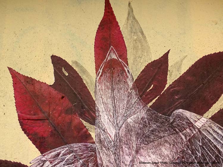 Envol de moineau