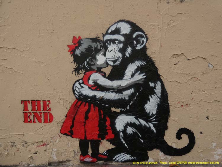 Fillette et chimpanzé-05