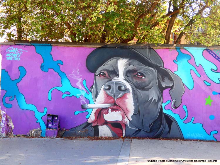 Chien fumeur