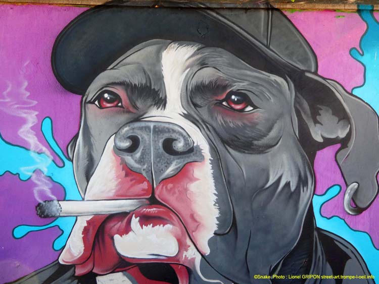 Chien fumeur