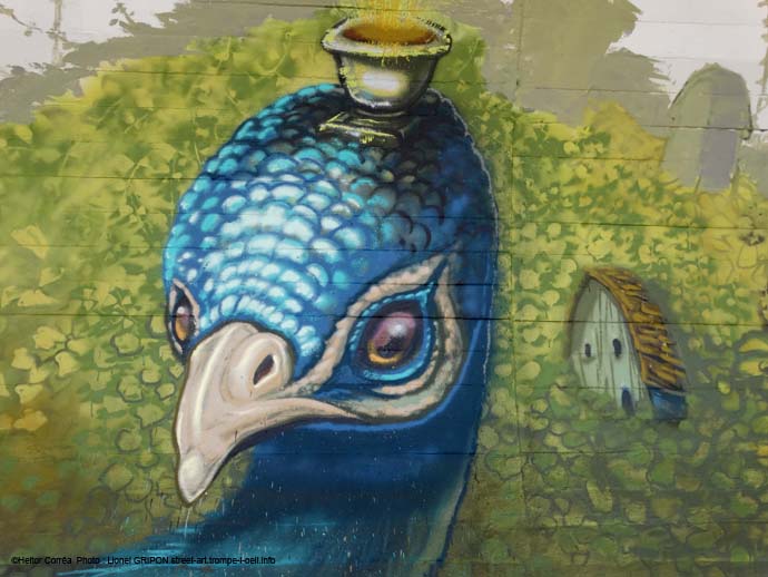 Mur abrité-07 Heitor Corrêa