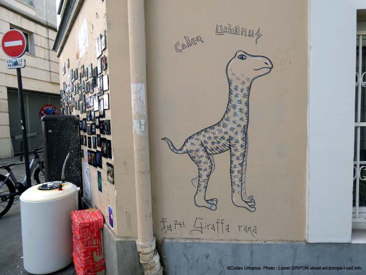 Giraffa rana