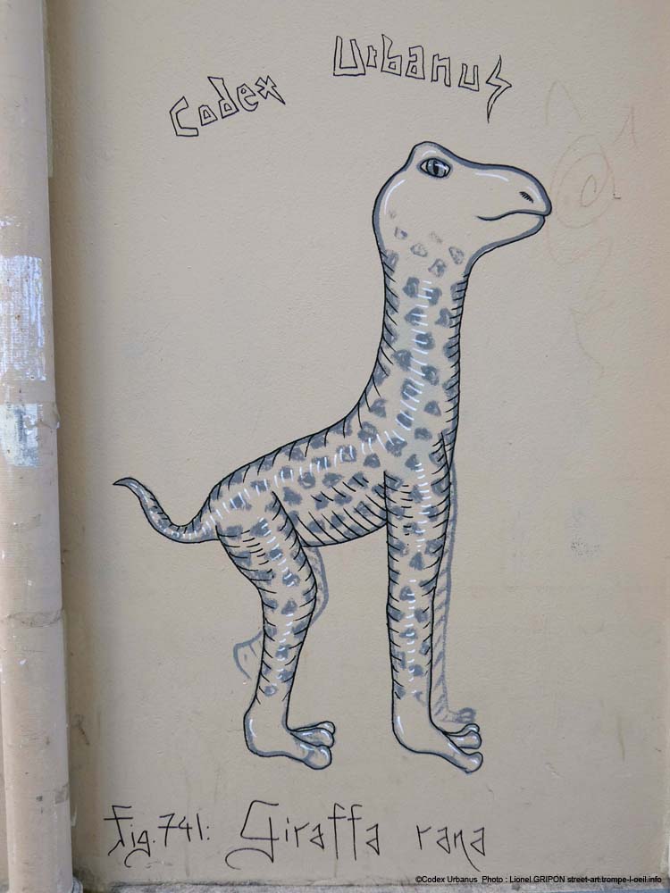 Giraffa rana