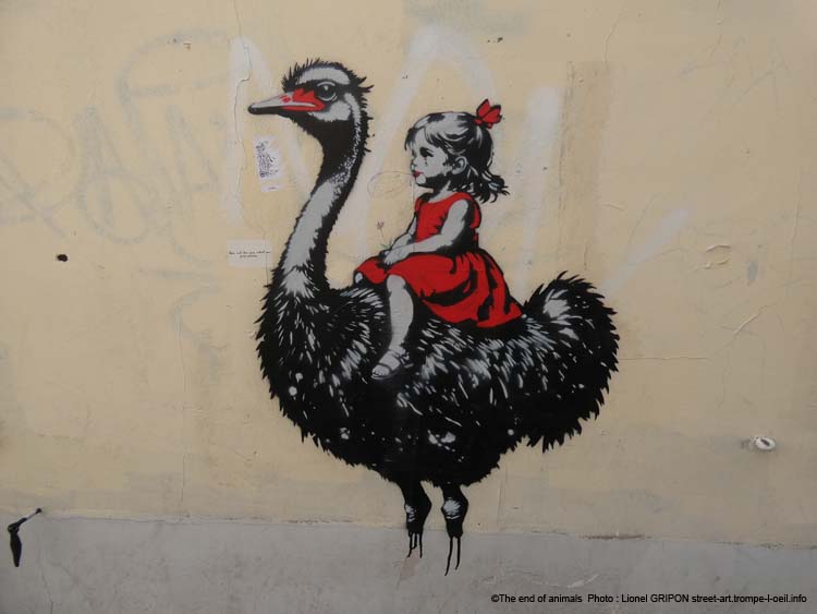 Fillette et autruche-03