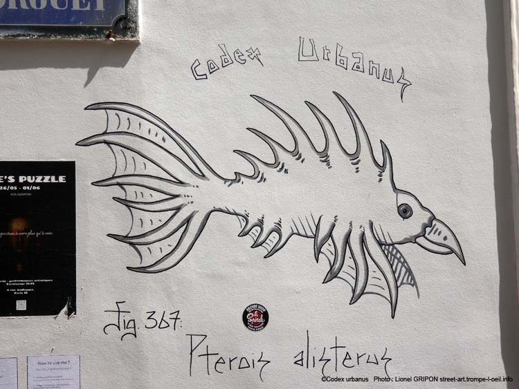 Pterois alisterus