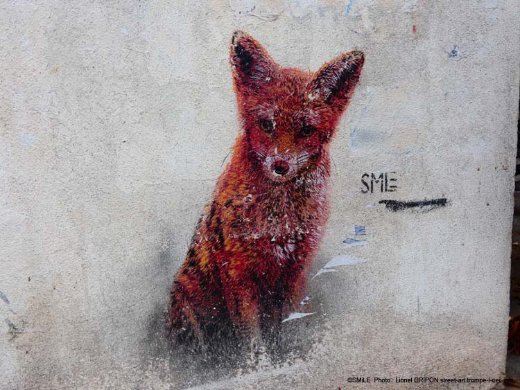 Renard roux-01