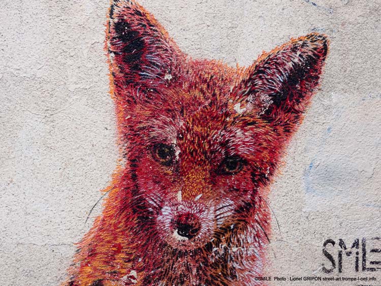 Renard roux-01