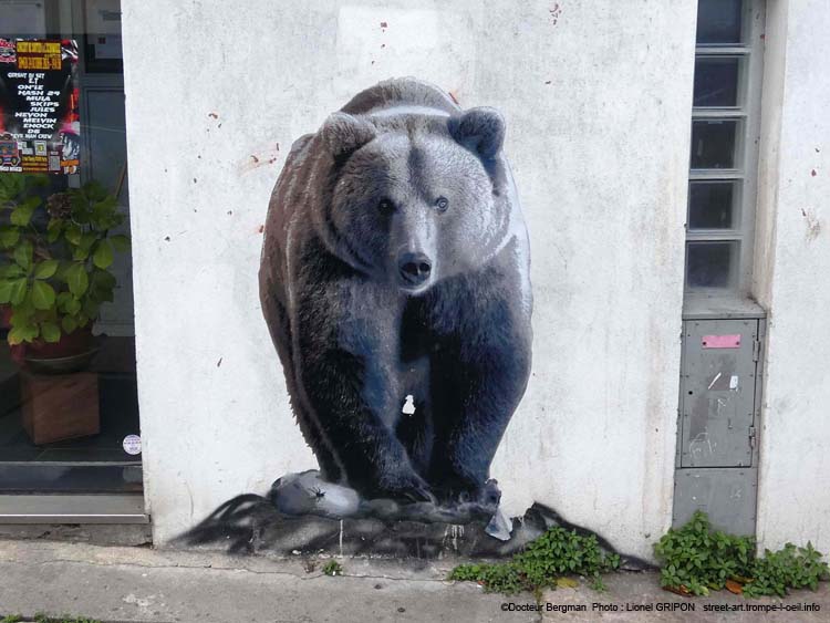 Ours brun-03