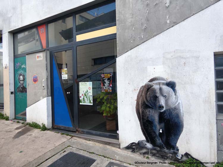 Ours brun-03