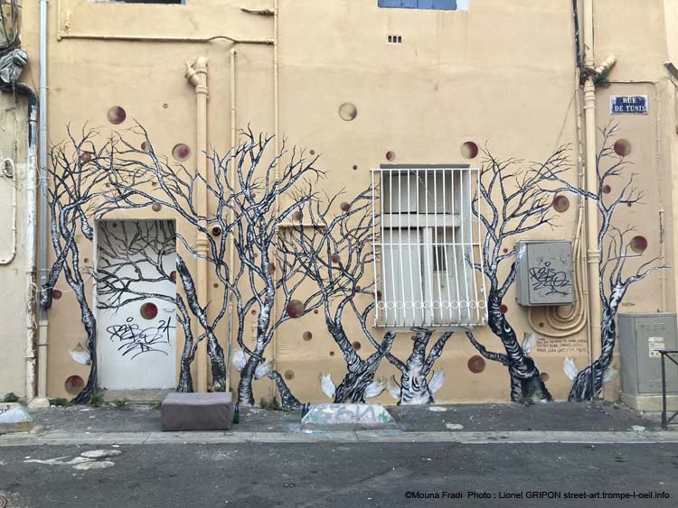 Arbres sans feuille