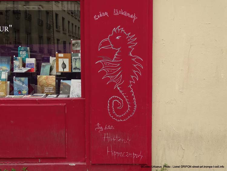 Alisterus hippocampus