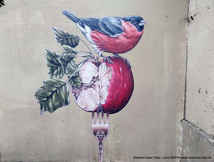 Pomme & Rouge-gorge