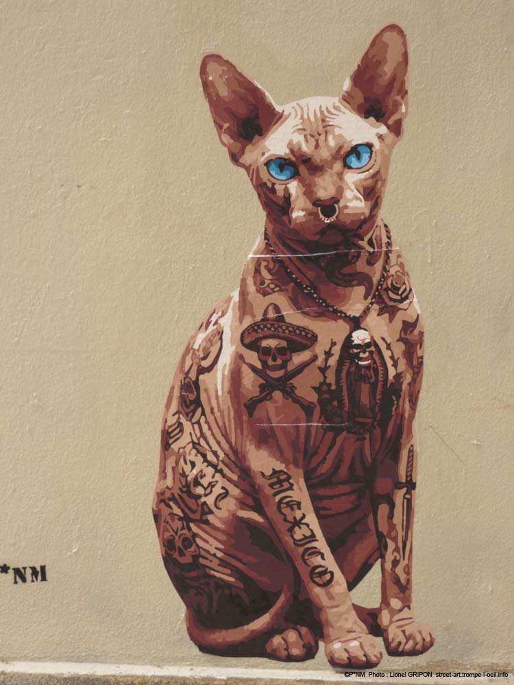 Le Chat Sphynx-03