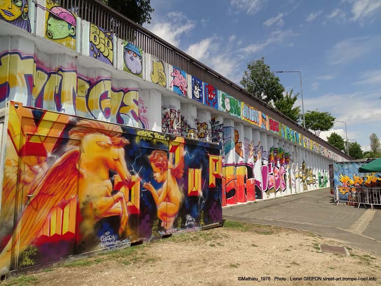 Rosa – Mathieu VMD