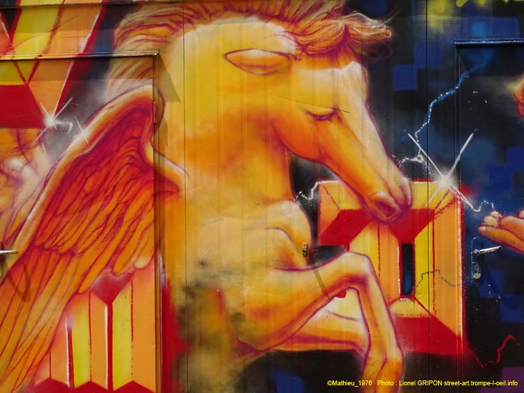 Rosa – Mathieu VMD