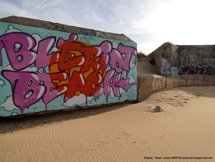 Bienvenue à Blériot-Plage