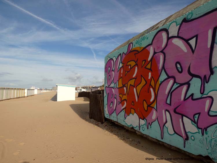 Bienvenue à Blériot-Plage