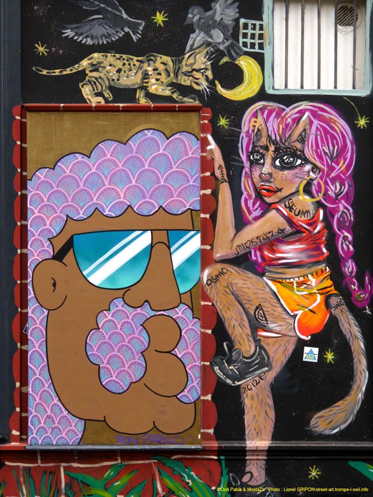 Barbu et chat errant