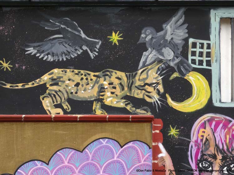 Barbu et chat errant