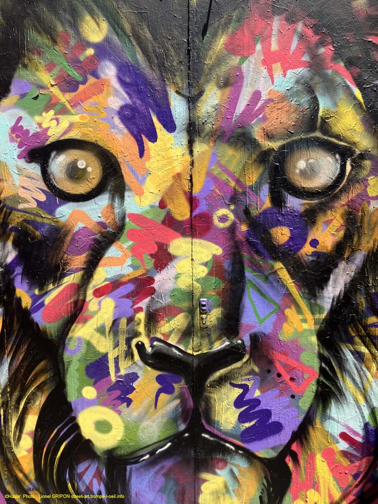 Lion coloré-2