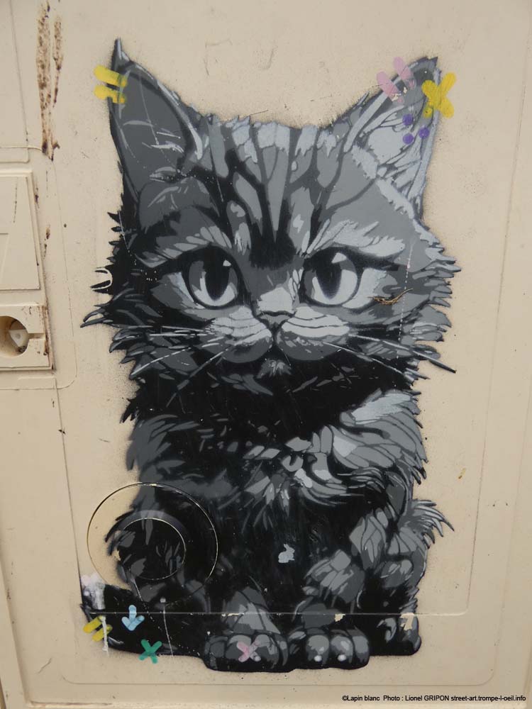 Chat qui parle