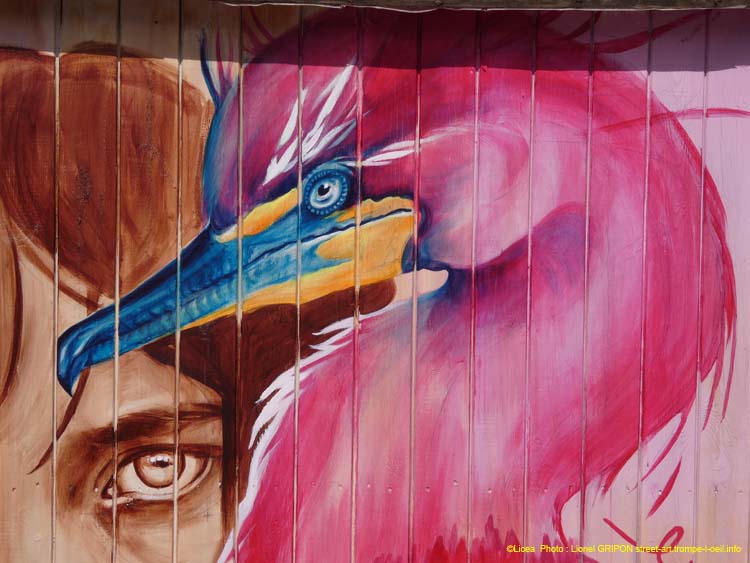 Cabane 2025 – Licea