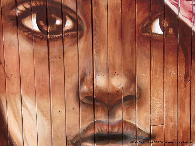 Cabane 2026 – Licea