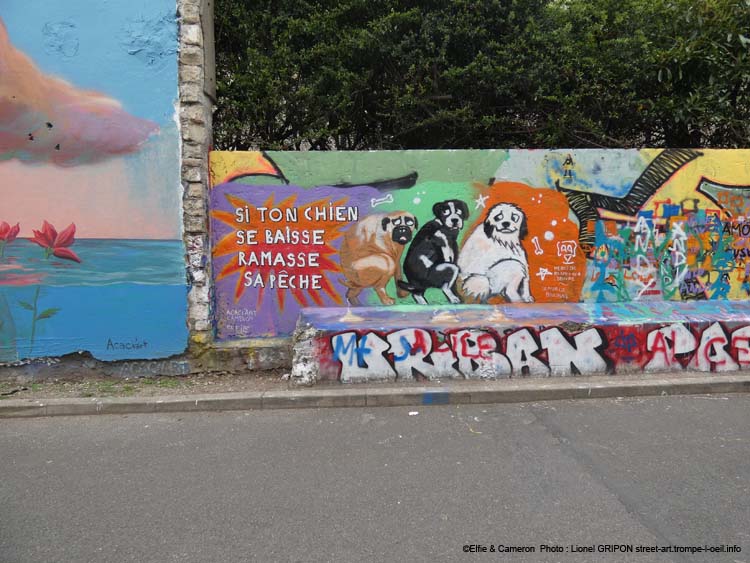 Crottes de vos chiens