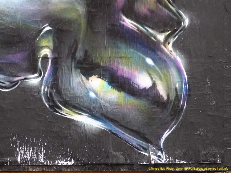 Crâne translucide-04