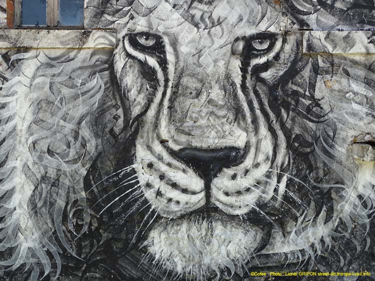 Roi lion N&B
