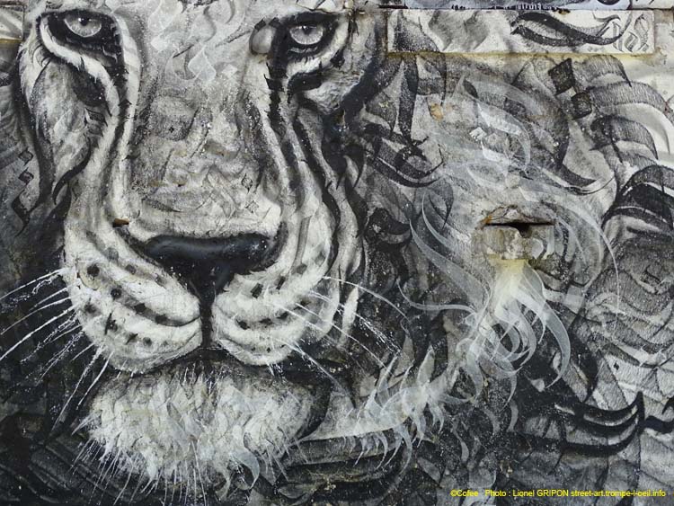 Roi lion N&B