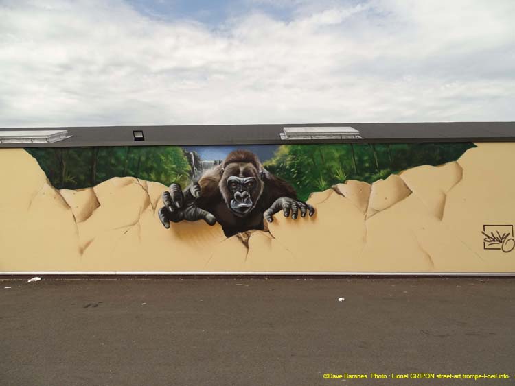 Mur et gorille