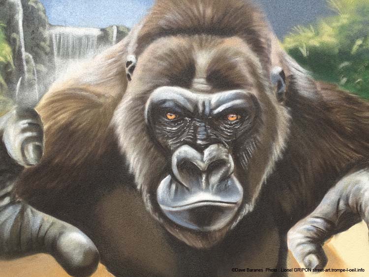 Mur et gorille