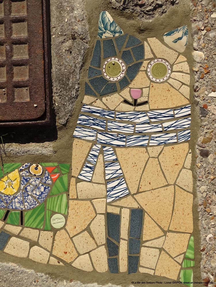 Chat et moineau