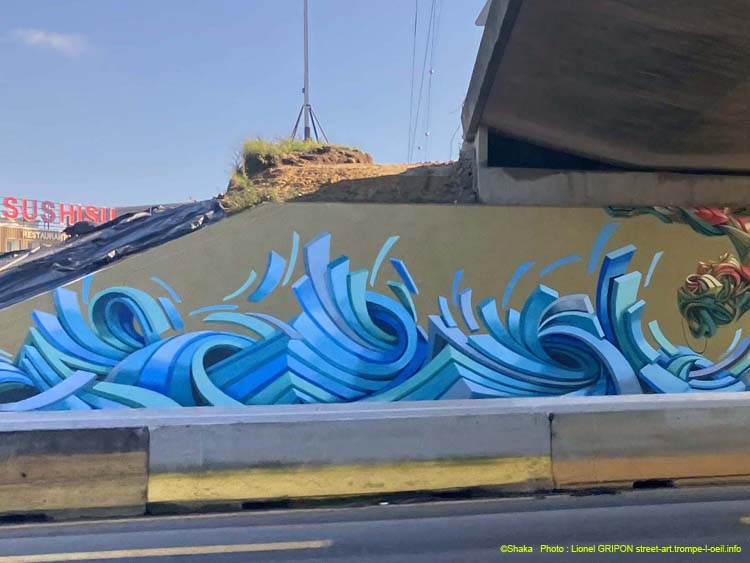 Plongeur sur le Ring-02