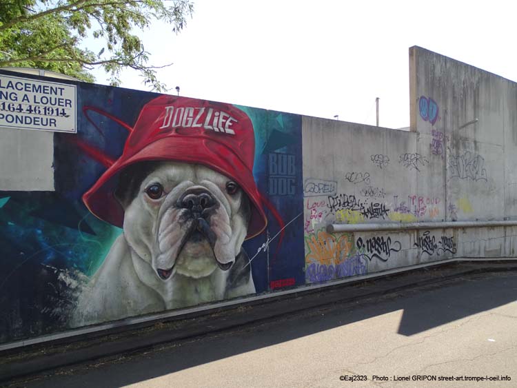 Bouledogue français