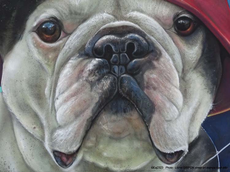 Bouledogue français