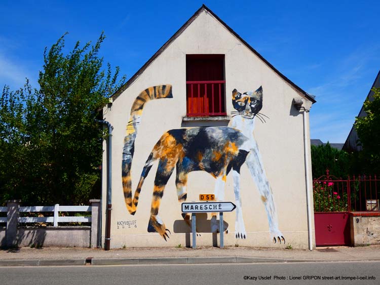 Chat chamarré