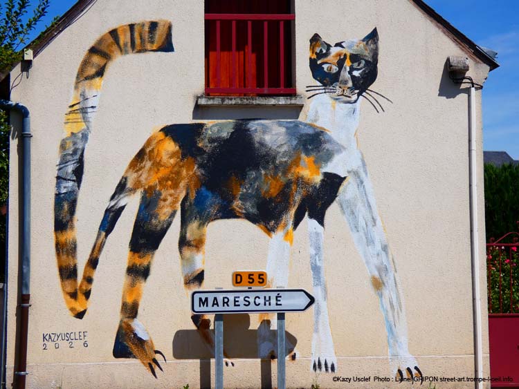 Chat chamarré